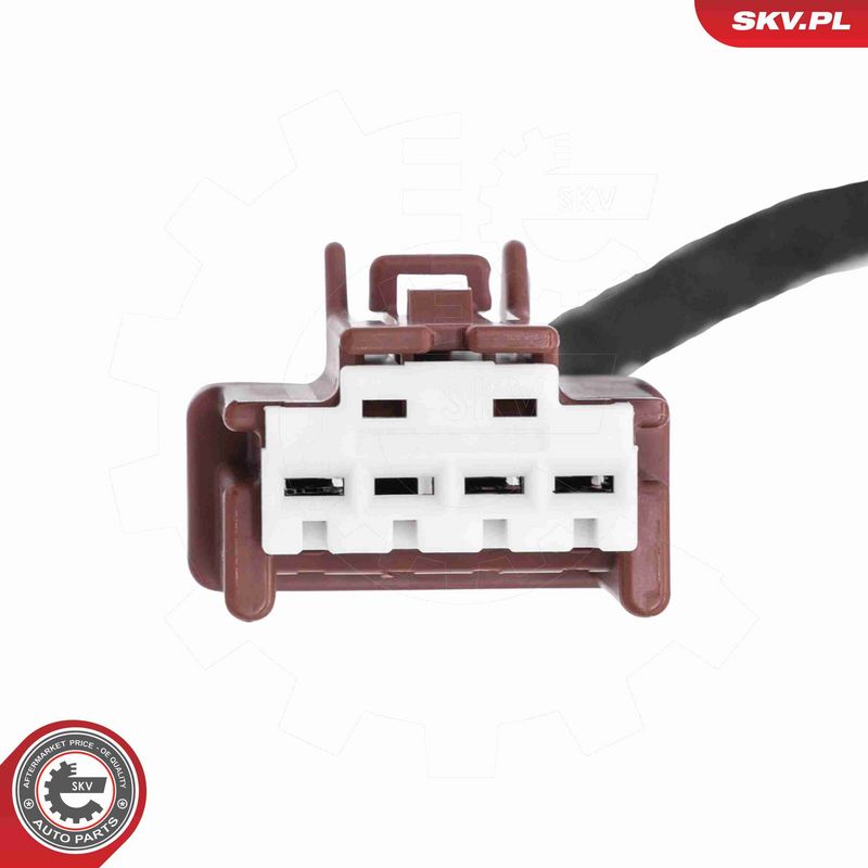 ESEN SKV 52SKV284 Electric Motor, tailgate