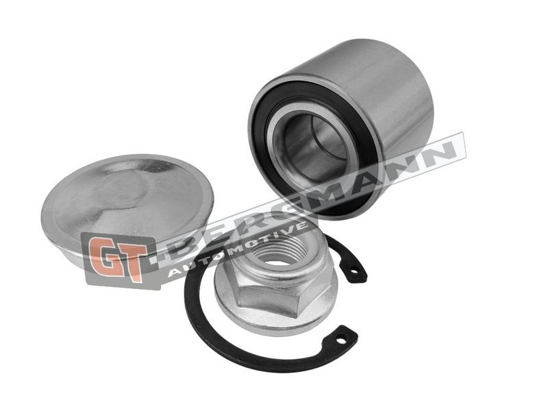 GT-BERGMANN Automotive Rato guolio komplektas
