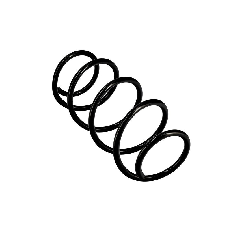 EIBACH R10162 Pakabos spyruoklė