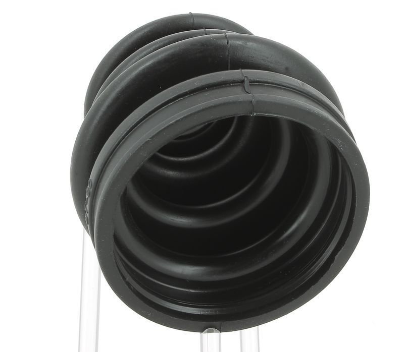 Juego de fuelles, árbol de transmisión
