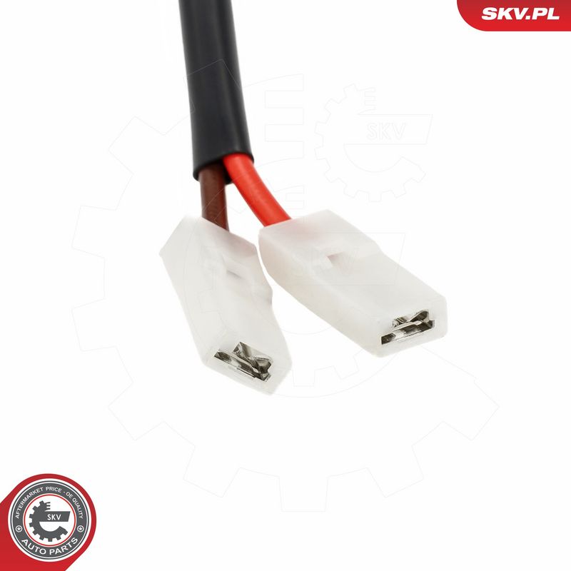 Salongipuhur, ESEN SKV 68SKV007