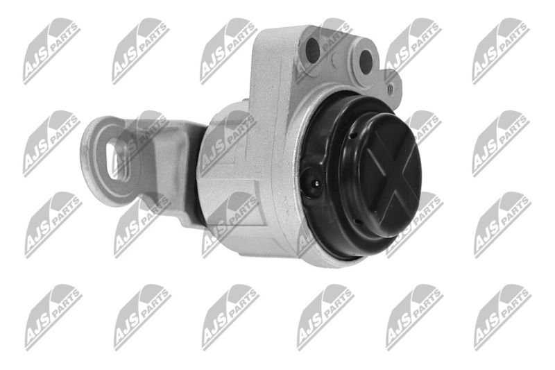 Paigutus, Mootor, NTY ZPS-FR-044