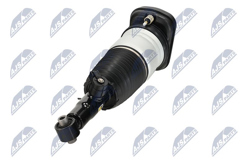 Amort, NTY A-BM-101