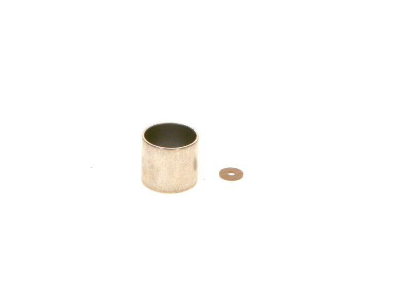 BOSCH F00R0P0883 Bush