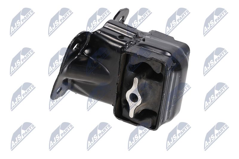 Paigutus, Mootor, NTY ZPS-CH-154