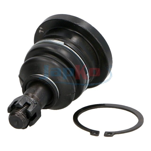 Kande-, juhtliigend, JAPKO...