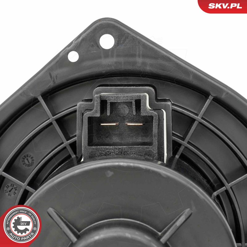 Salongipuhur, ESEN SKV...