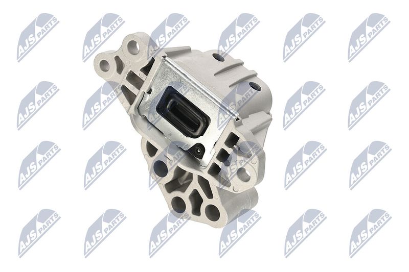 Paigutus, Mootor, NTY ZPS-CH-133