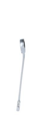 KS TOOLS BT013813 Ratchet Ring Spanner
