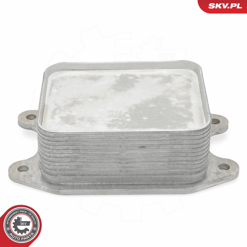 Prekės atitinka OEM kodą: 04E 117 021 K