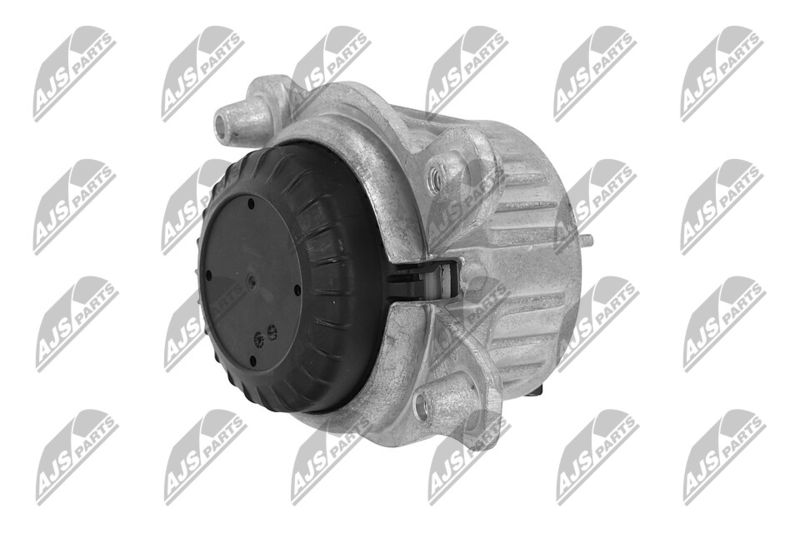 Paigutus, Mootor, NTY ZPS-ME-019