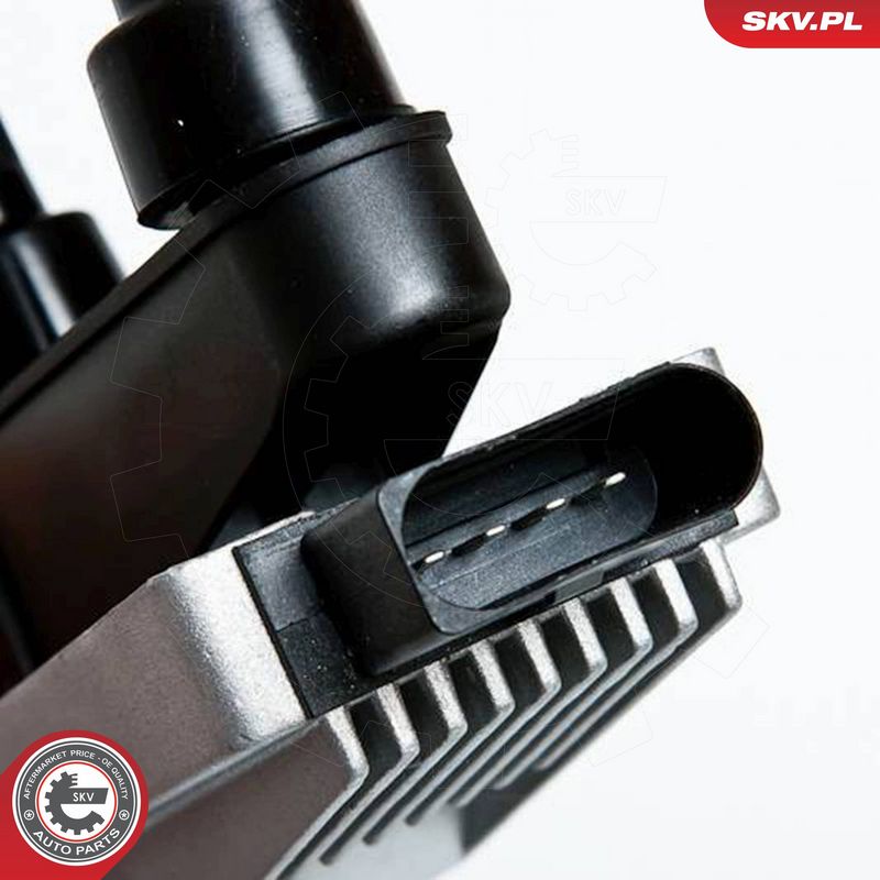 ESEN SKV 03SKV029 Ignition Coil