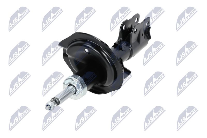 Amort, NTY A-MS-016