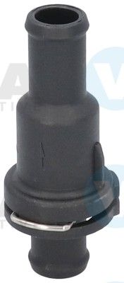 460093.JPG