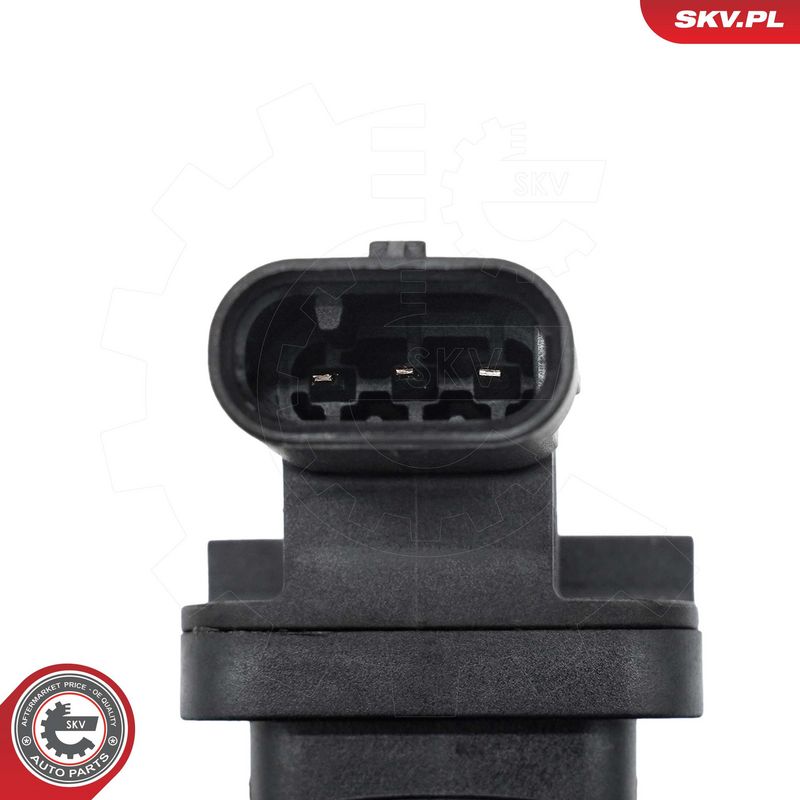 ESEN SKV 07SKV407 Mass Air Flow Sensor