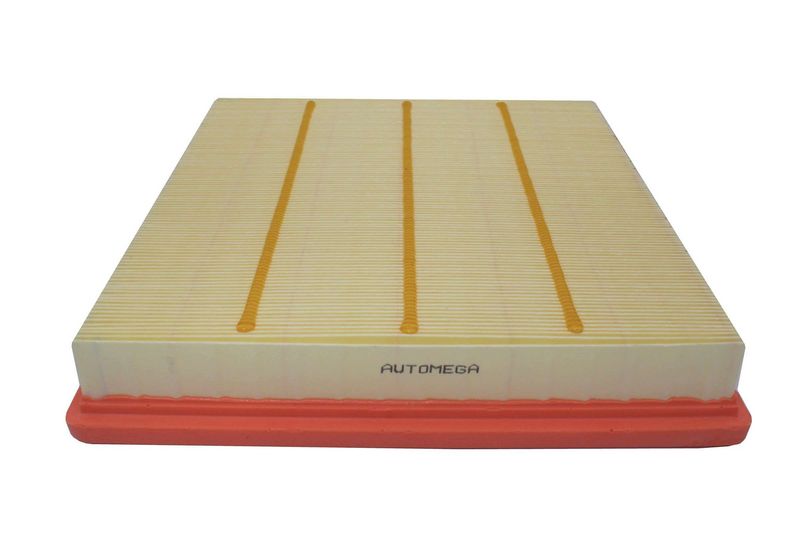 AUTOMEGA 180022610 Air Filter