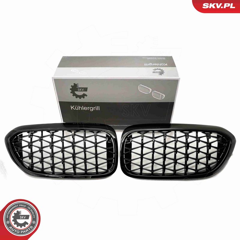 ESEN SKV 66SKV200 - Radiator Grille