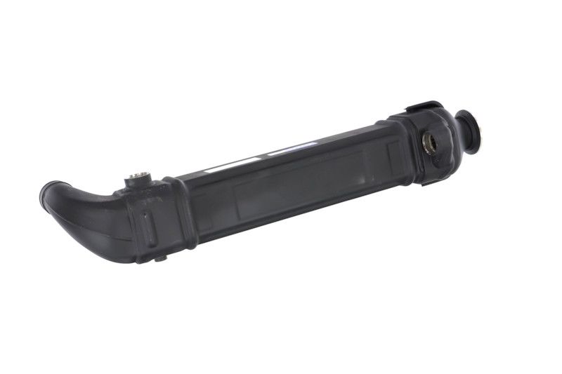 REMANTE 010-001-000025R EGR Module