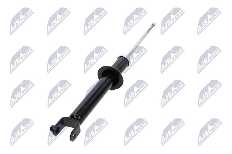Amort, NTY A-CH-054