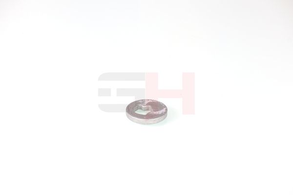 caster shim, sillatala, GH GH-391582