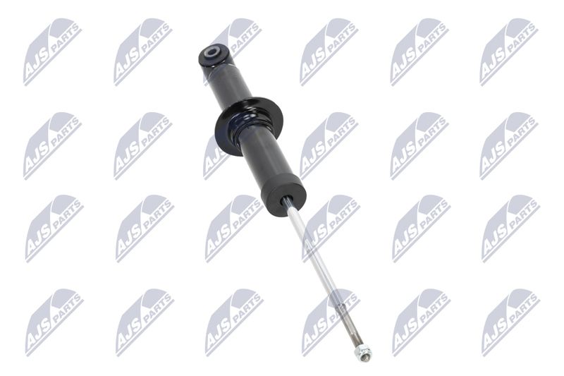 Amort, NTY A-CH-058