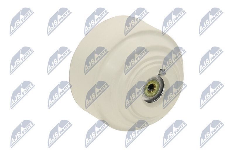 Paigutus, Mootor, NTY ZPS-ME-102