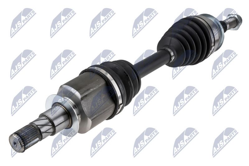 NPW-NS-173_1-WM.JPG
