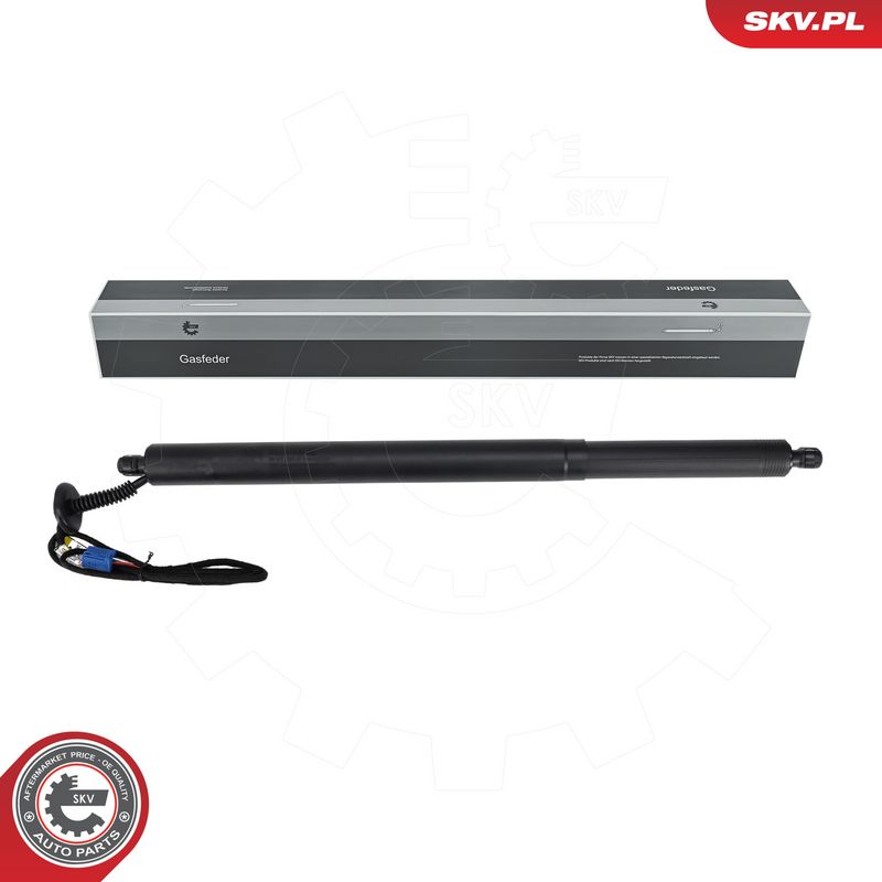 Elektrimootor, tagaluuk, ESEN SKV 52SKV881