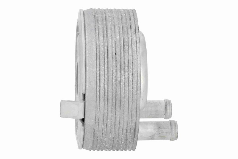 ACKOJA A38-60-0006 Oil Cooler, engine oil