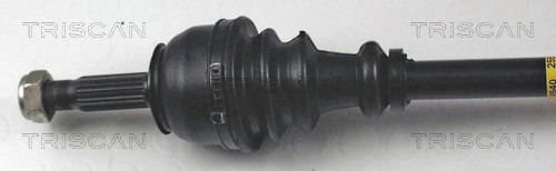854025516_2.JPG