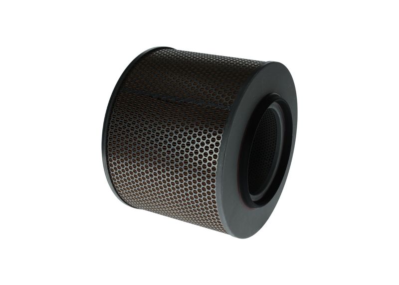BOSCH 1 457 429 779 Oro filtras