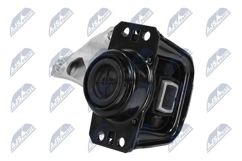 Paigutus, Mootor, NTY ZPS-PE-012