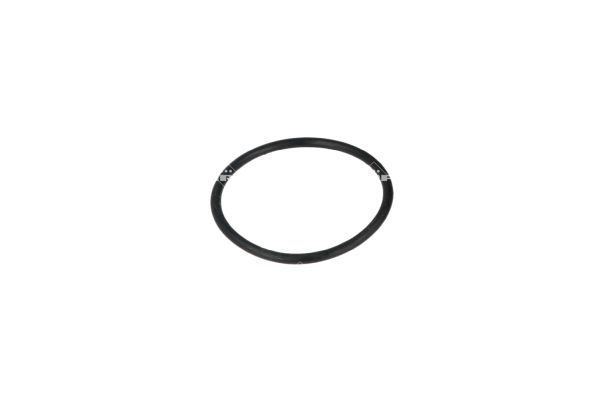 NRF 725076 Thermostat, coolant