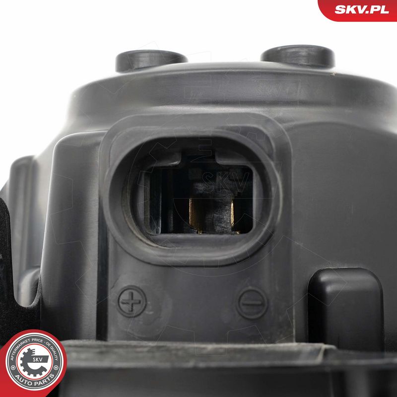 Salongipuhur, ESEN SKV...