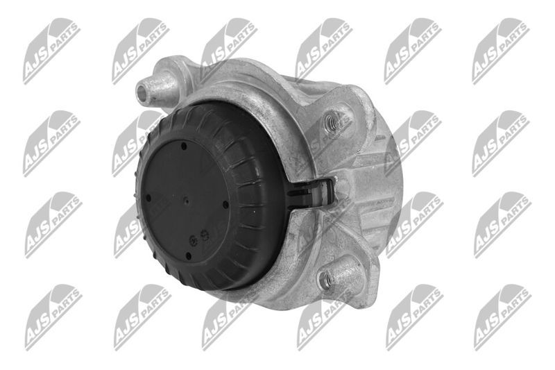 Paigutus, Mootor, NTY ZPS-ME-019