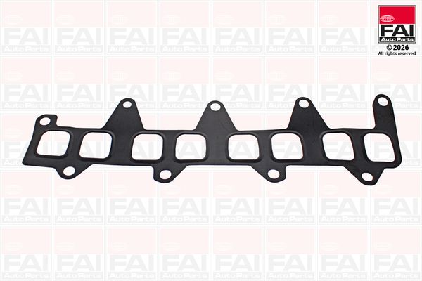 FAI AutoParts Tarpiklių rinkinys, įsiurbimo kolektorius