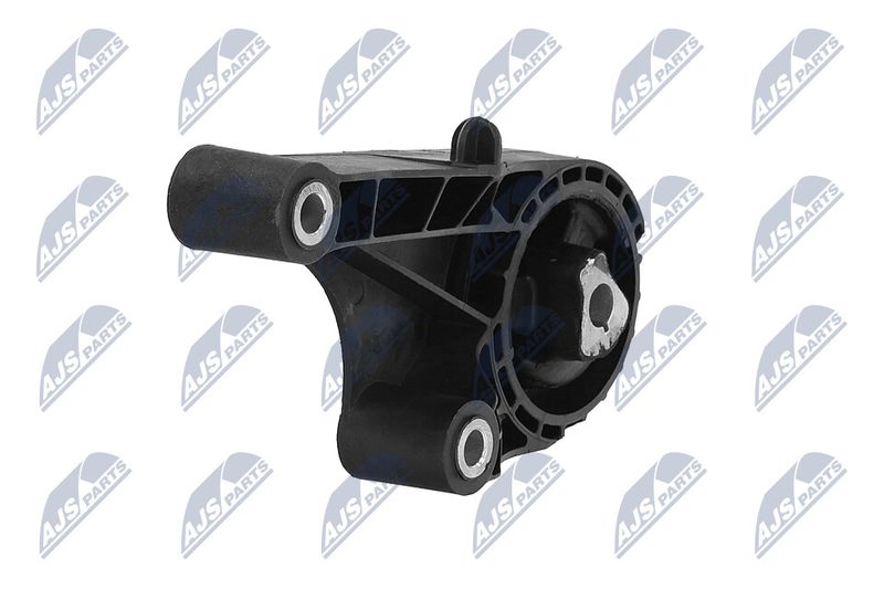 Paigutus, Mootor, NTY ZPS-PL-057