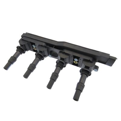 bobina de inductie MTR 12134315