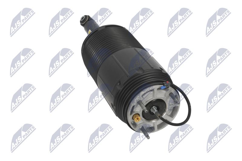 Amort, NTY A-CH-099