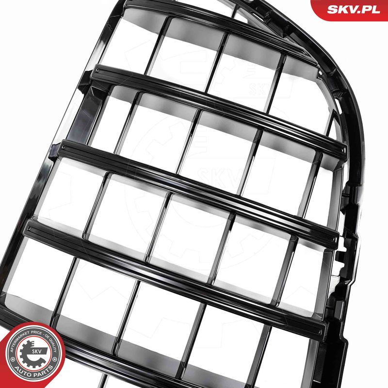 ESEN SKV 66SKV569 Radiator Grille
