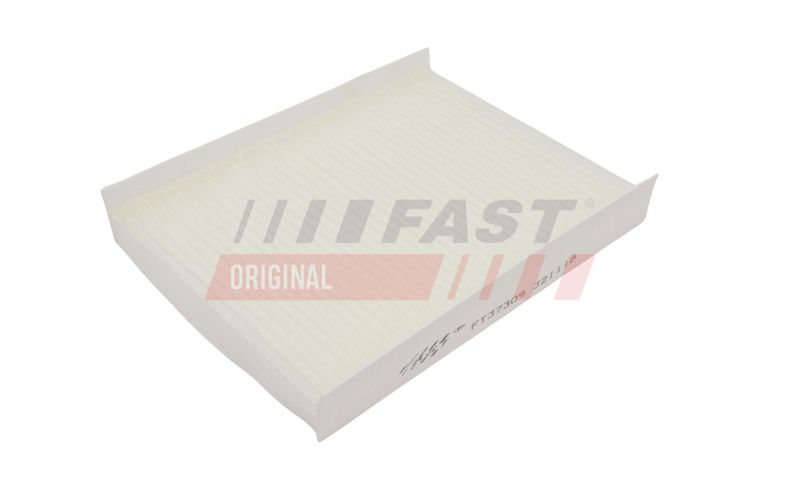 FAST FT37309 Salono filtras