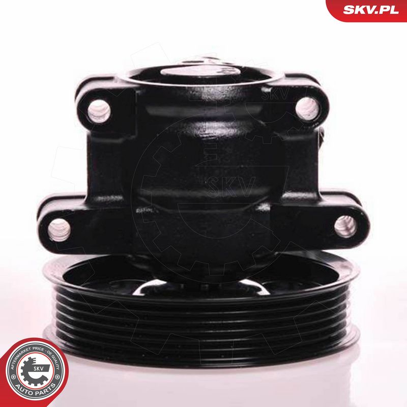 ESEN SKV 10SKV019 Hydraulic Pump, steering