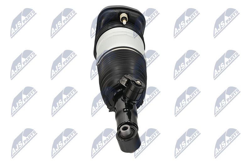 Amort, NTY A-BM-101