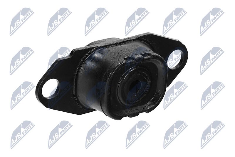 Paigutus, Mootor, NTY ZPS-NS-080