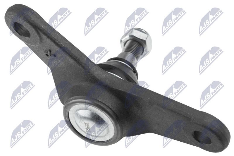 Kande-, juhtliigend, NTY ZSD-BM-005