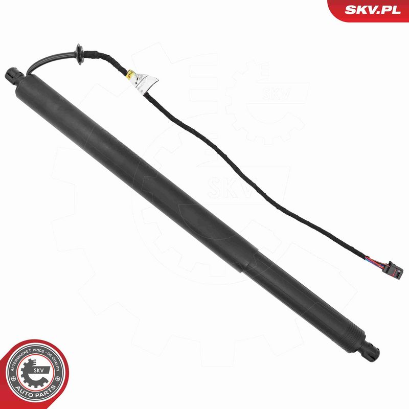 ESEN SKV 52SKV281 Electric Motor, tailgate