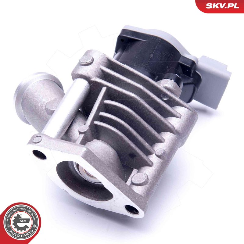 EGR-klapp, ESEN SKV 14SKV173