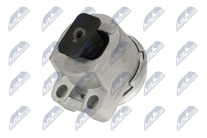 Paigutus, Mootor, NTY ZPS-FR-017