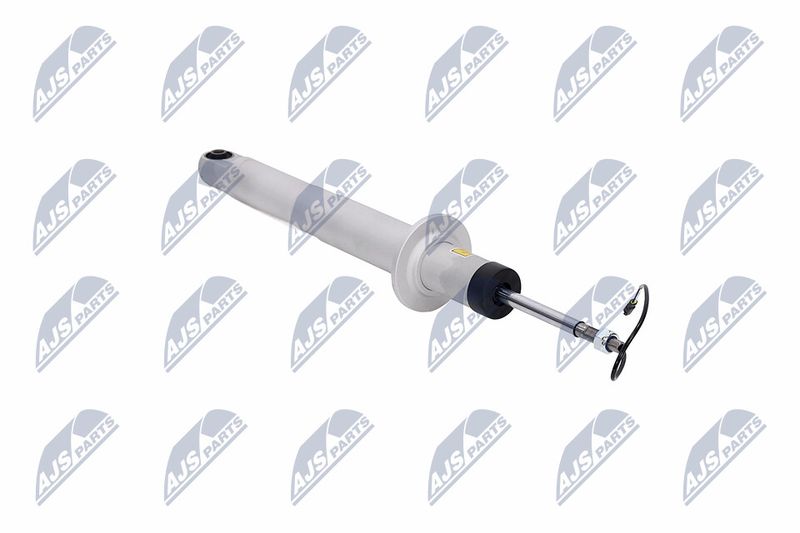 Amort, NTY A-MA-003