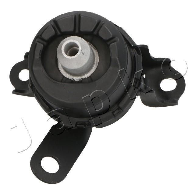 GOJ3102_1.JPG
